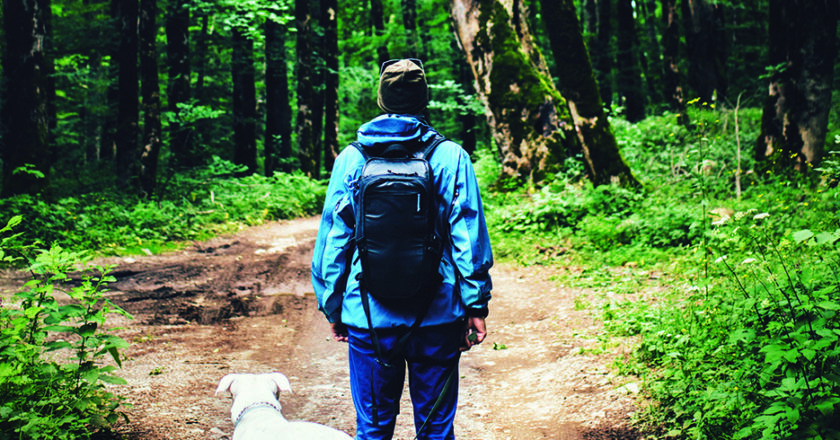 Nos forêts, indissociables de notre futur !